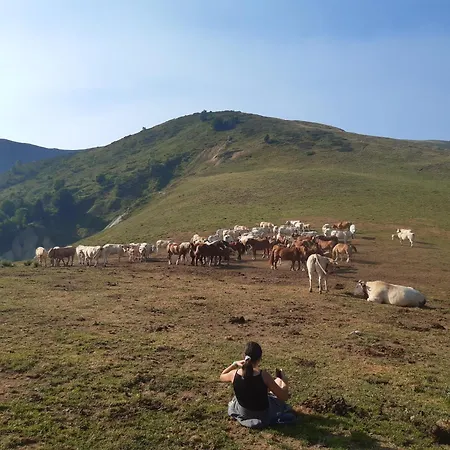 Daire Levante - Minimum 5 Nuits *