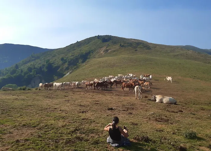 Apartment Levante - Minimum 5 Nuits *