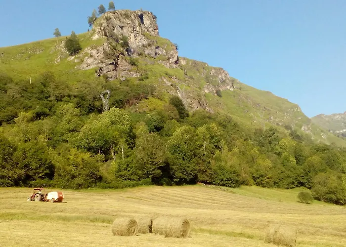 Apartment Levante - Minimum 5 Nuits *